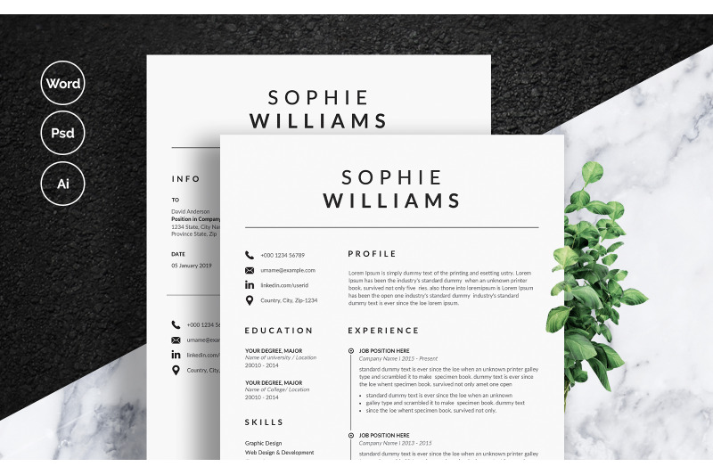 professional-resume-template-word