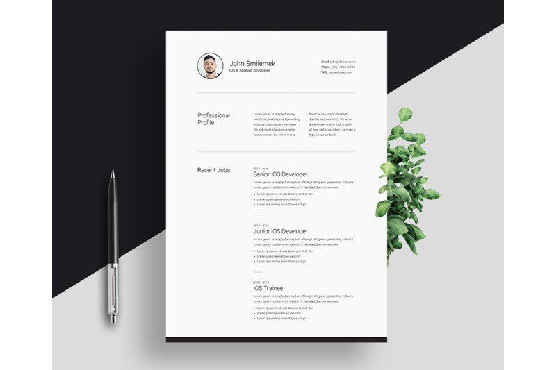 clean-resume-template