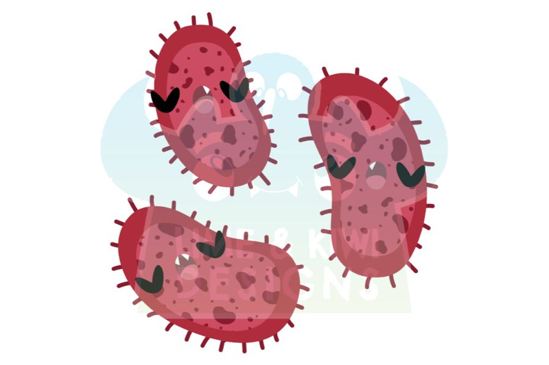 bacteria-clipart-lime-and-kiwi-designs