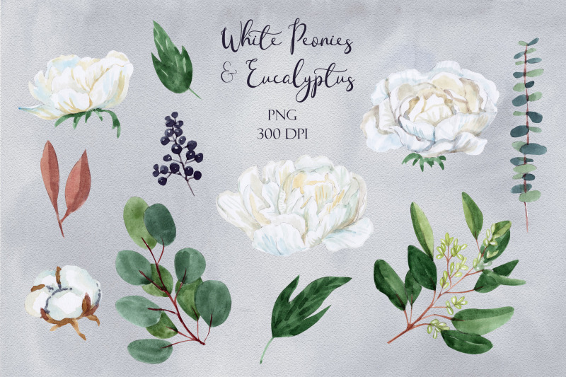 white-peonies-and-eucalyptus-white-wedding-clipart