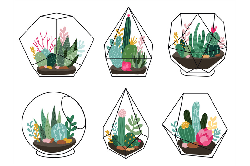 terrarium-plants-geometric-succulent-cactus-terrariums-hand-drawn-t