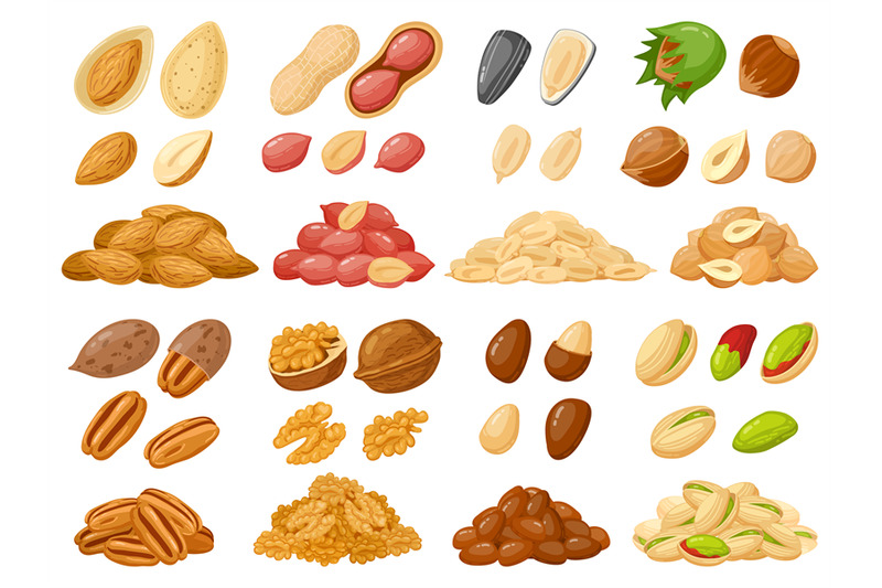 cartoon-nuts-almond-peanut-cashew-hazelnut-nuts-sunflower-seed-an