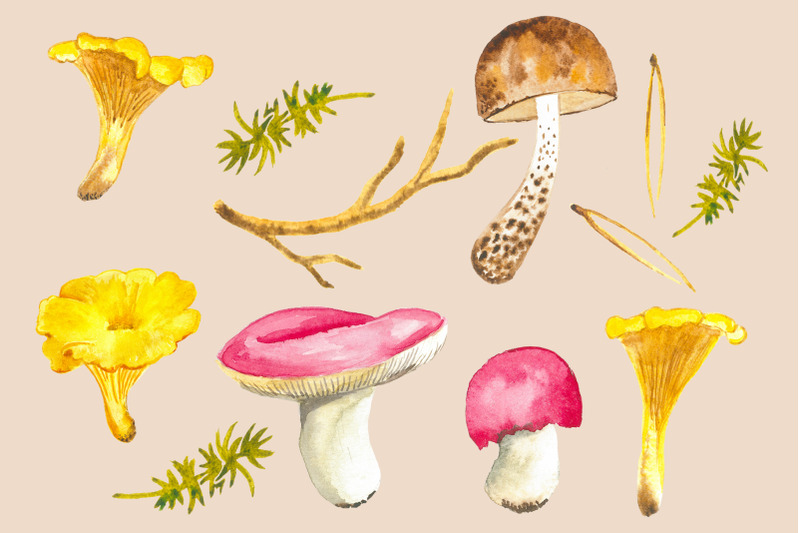 watercolor-mushrooms-autumn-forest