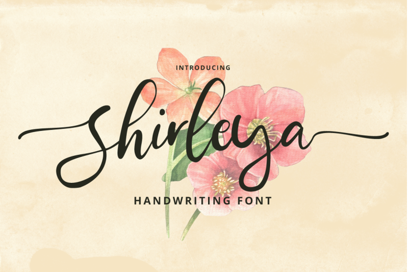 shirleya-script