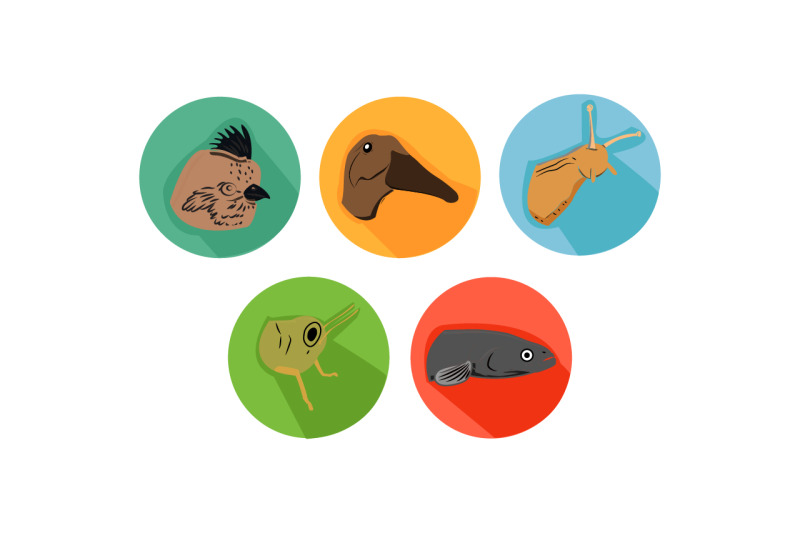 catfish-friends-cartoon-animals-icon-bundle