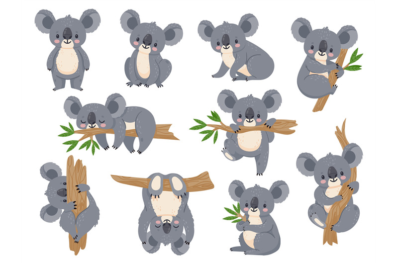 cute-cartoon-koala-lazy-koalas-with-eucalyptus-little-funny-rainfore