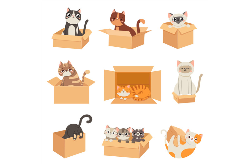 cats-in-boxes-cute-stickers-with-cat-sitting-sleeping-and-playing-in