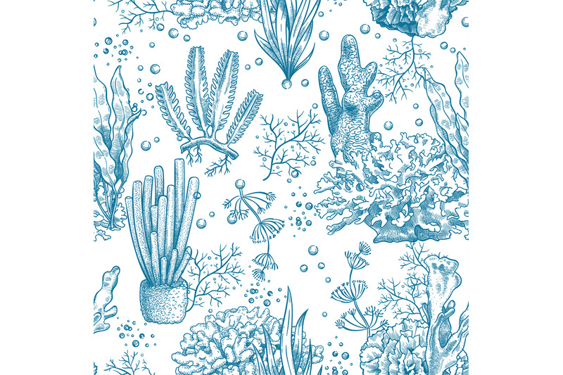 seaweed-seamless-pattern-reef-aquatic-plants-and-corals-underwater-s