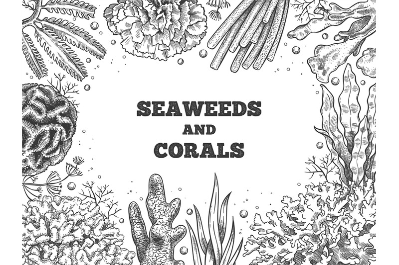 seaweed-background-reef-aquatic-weed-and-corals-underwater-ocean-and