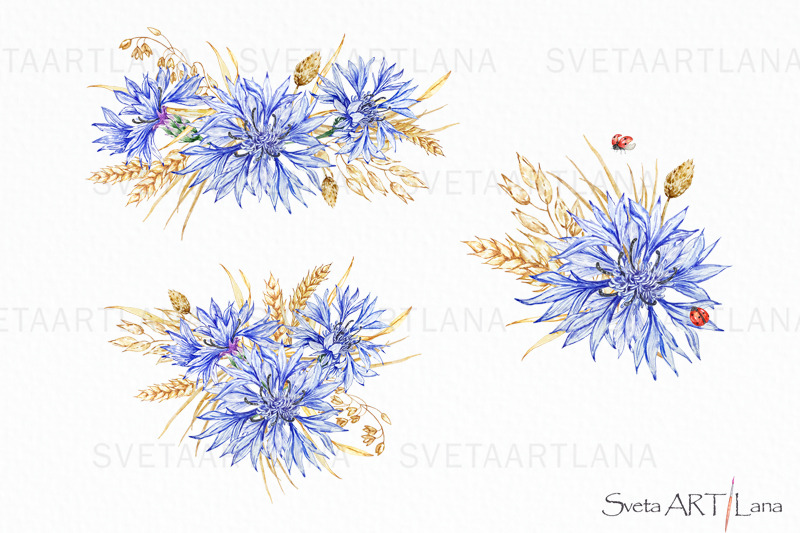 watercolor-flowers-clipart-cornflower-blue-wildflowers