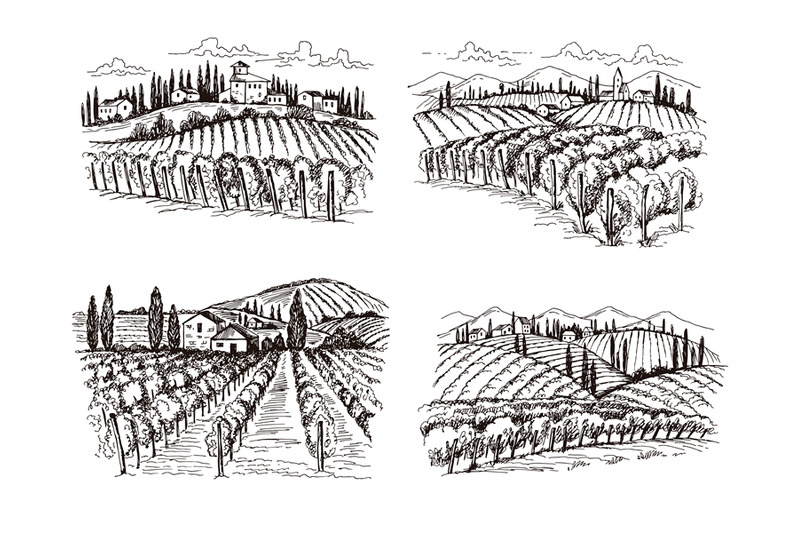 vineyard-old-france-chateau-wine-landscape-hand-drawn-vector-illustra