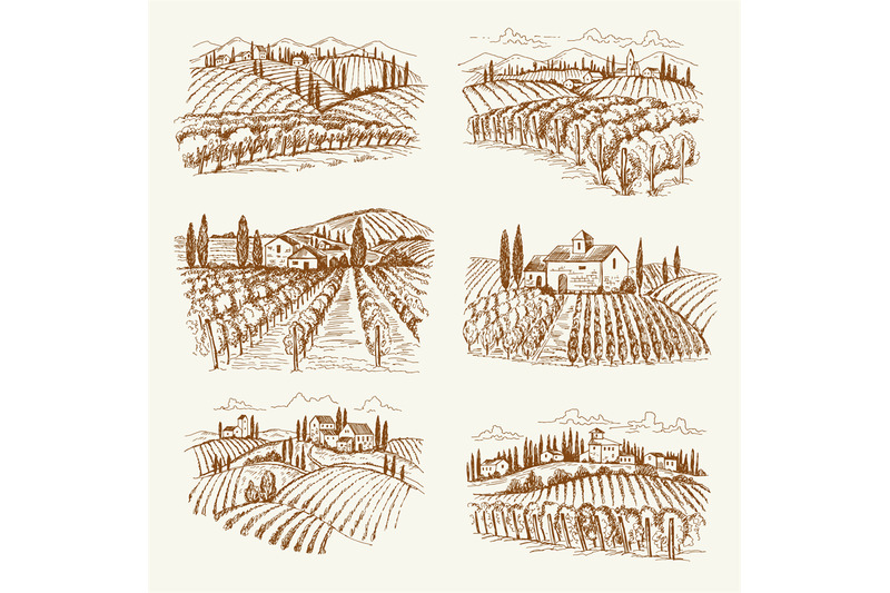 vineyard-landscape-france-or-italy-vintage-village-wine-vineyards-vec