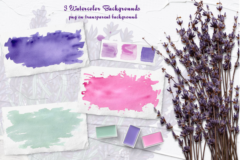 lavender-watercolor-clipart
