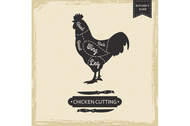butchers-library-vintage-page-chicken-cutting-vector-poster-design