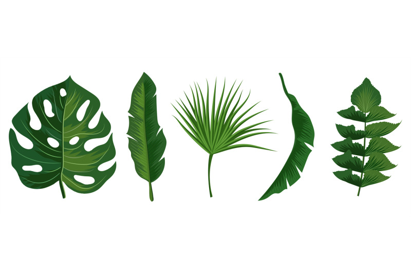 tropical-exotic-leaves-vector-isolated-on-white-background