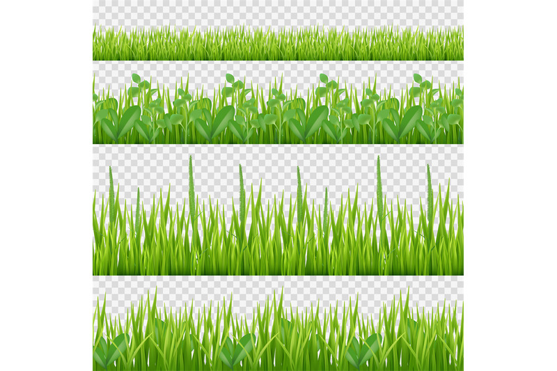 grass-herbs-pattern-nature-symbols-leaves-and-herbs-horizontal-vector