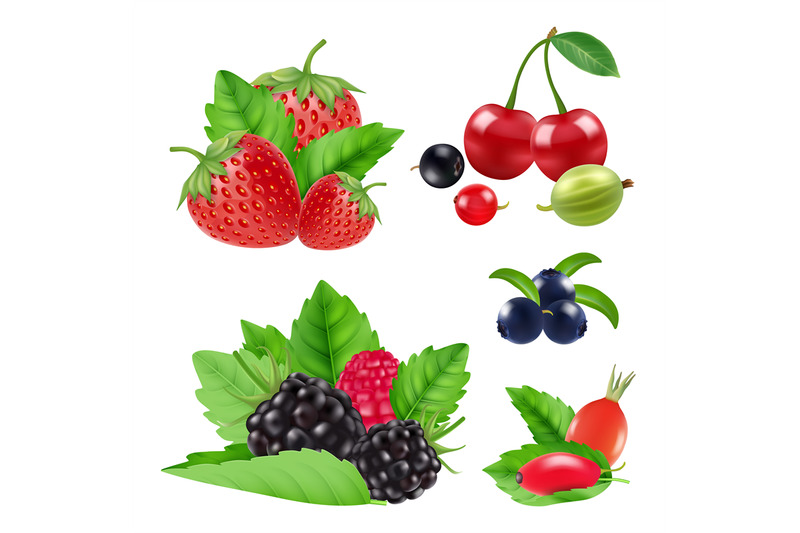 realistic-garden-and-wild-berries-blackberry-raspberry-blueberry-c