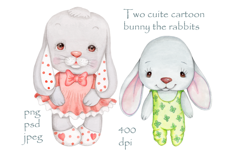 two-cute-bunny-the-rabbits