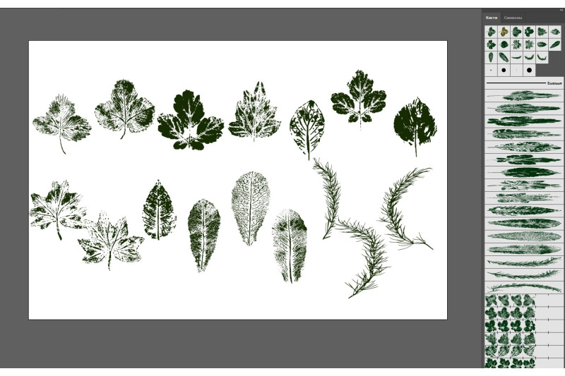 leaf-stamp-brushes-for-adobe-illustrator