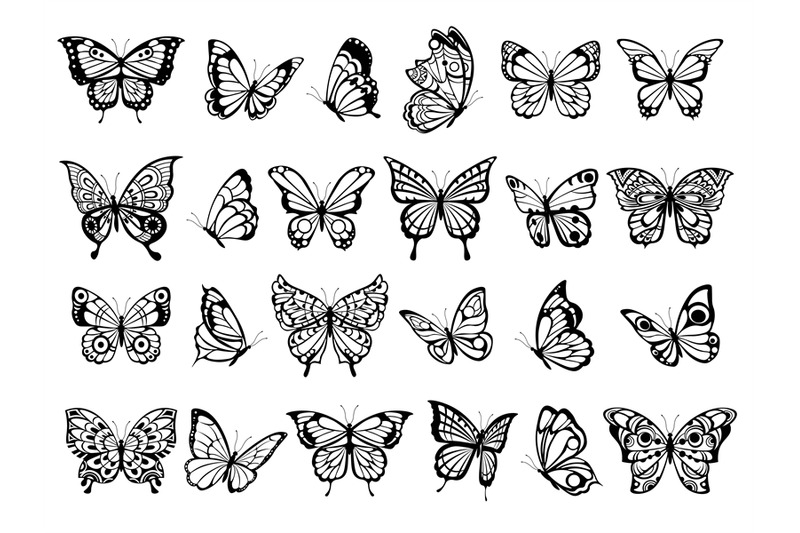 butterfly-collection-beautiful-nature-flying-insect-drawing-exotic-b