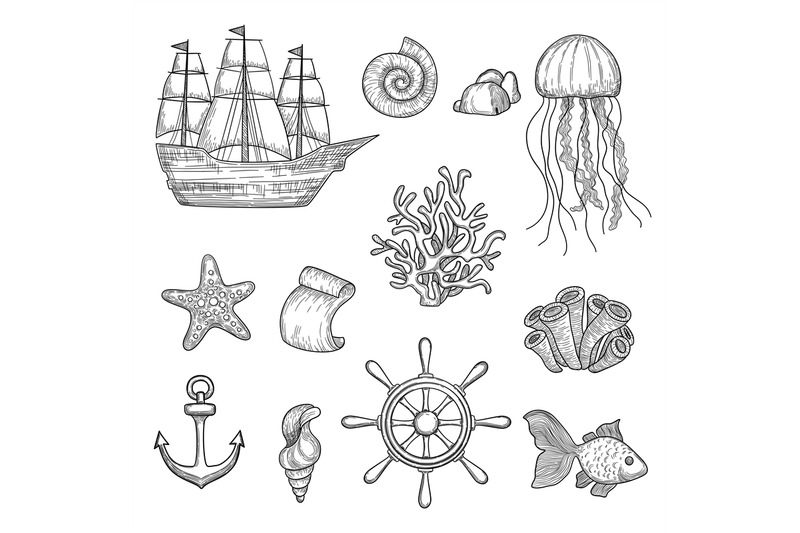 nautical-elements-ocean-fish-shells-boats-ships-knot-travel-marine-sy