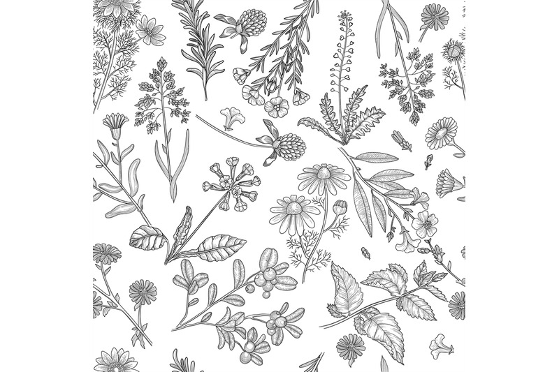 herbs-pattern-medical-plants-flowers-and-herbs-nature-extracts-vector