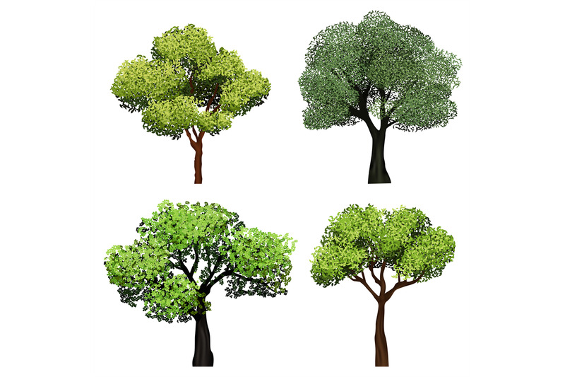 trees-realistic-nature-garden-botanical-collection-trees-with-green-l