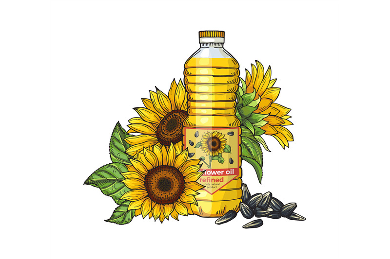 sunflower-oil-sketch-vector-seeds-sunflowers-and-oil-bottle-isolated