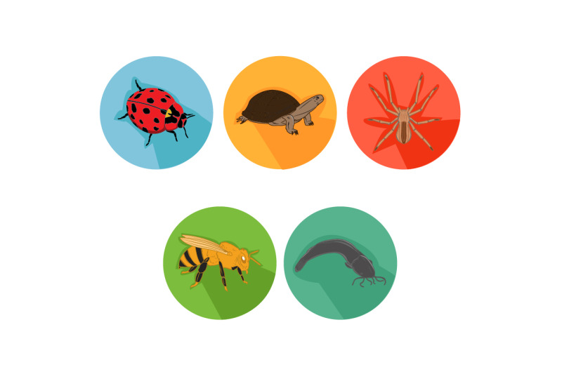 bee-friends-cartoon-animals-icon-bundle
