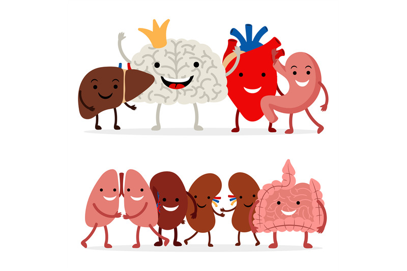 cute-human-internal-organs-vector-isolated-on-white-background