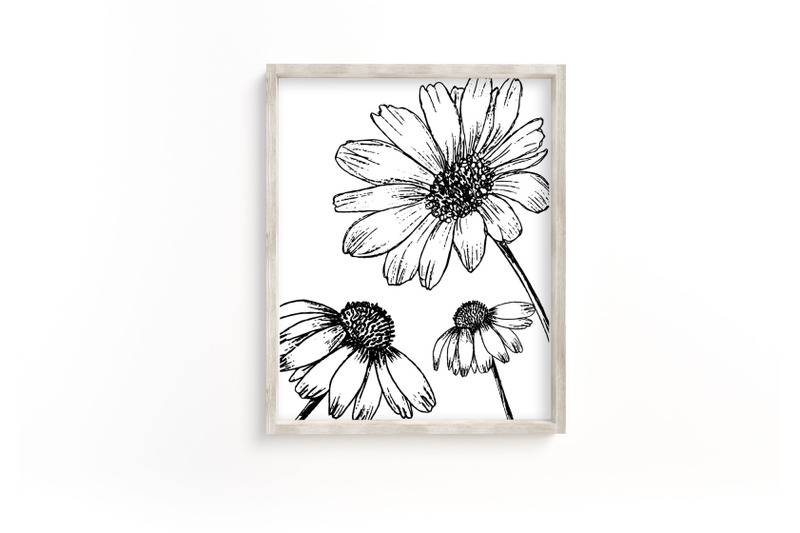 botanical-print-of-big-flowers-sketched-flowers-minimalist-art