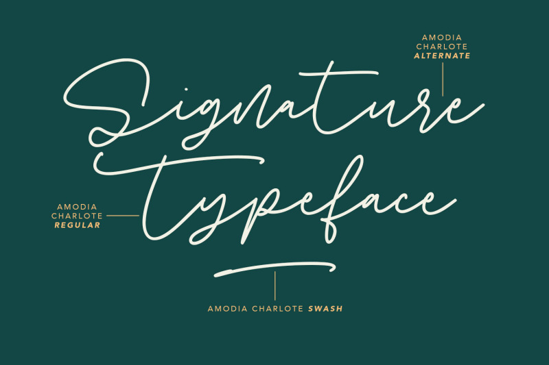 amodia-charlote-signature-font