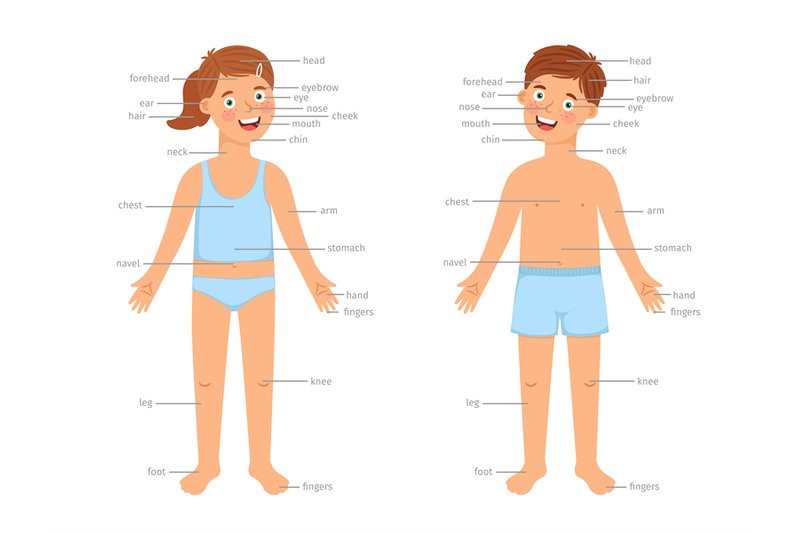 kids-body-parts-infographic