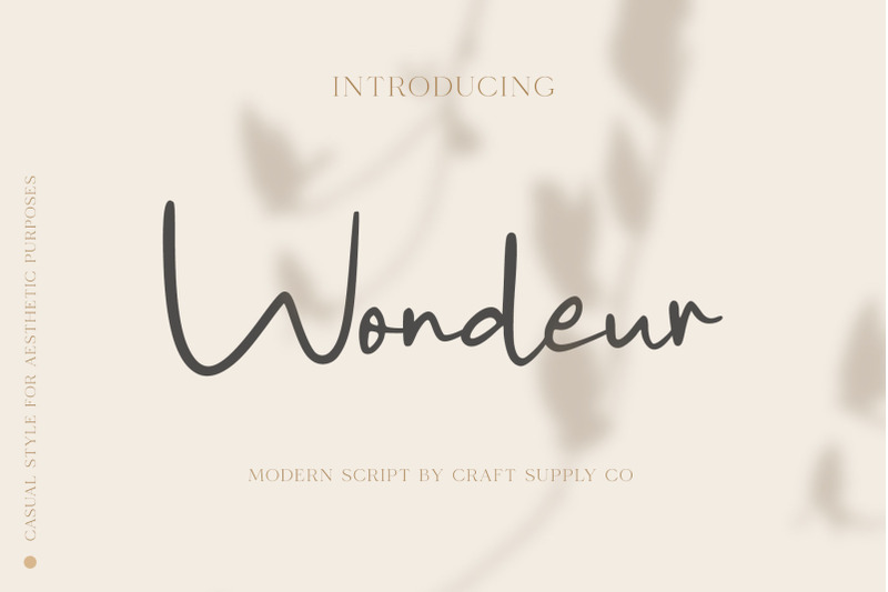 wondeur-modern-script-font