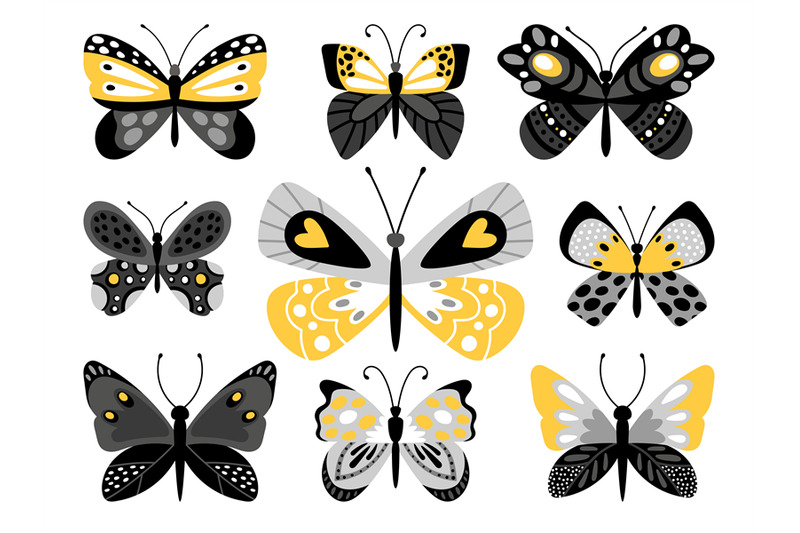 butterflies-vector-color-illustrations-set