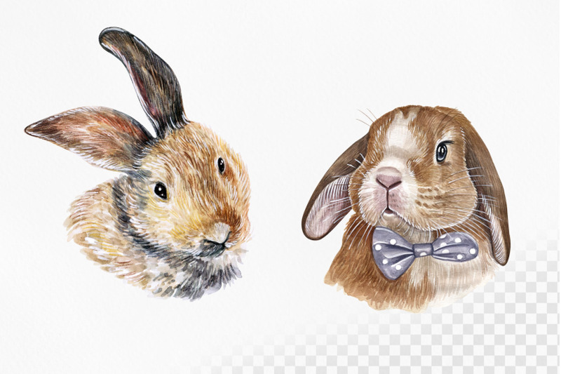 watercolor-set-cute-animal-illustrations-8-bunny-and-rabbit