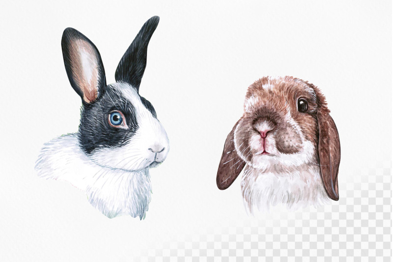 watercolor-set-cute-animal-illustrations-8-bunny-and-rabbit