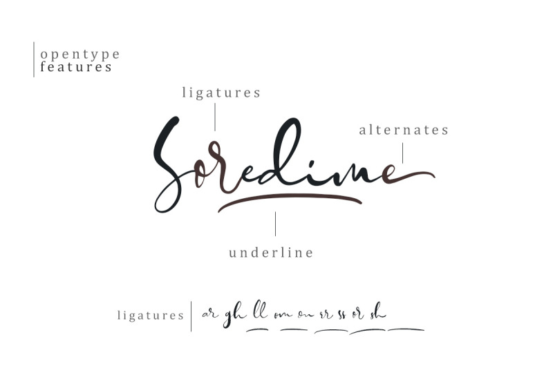 soredime-signature-script