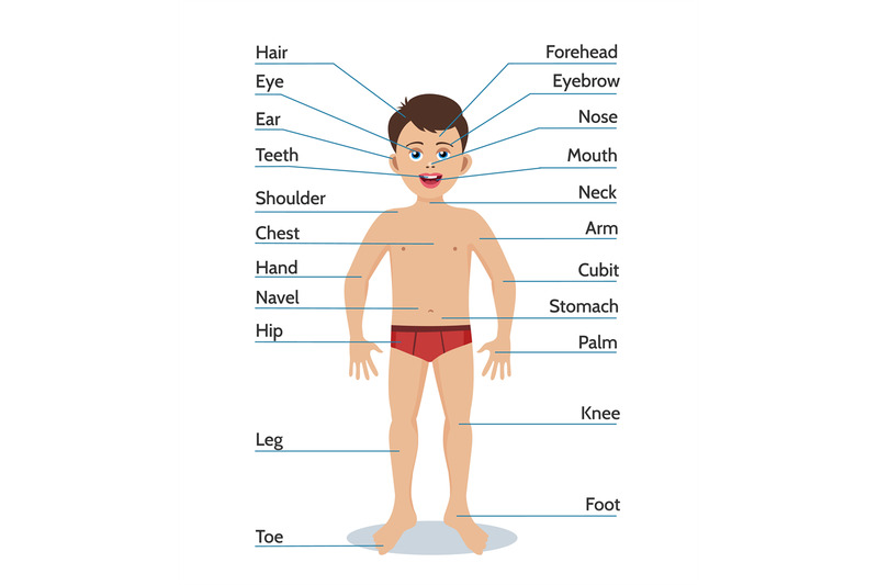 cartoon-boy-body-parts