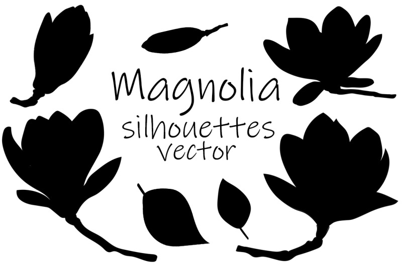 Magnolia silhouettes vector. Magnolia flowers. Magnolia SVG By