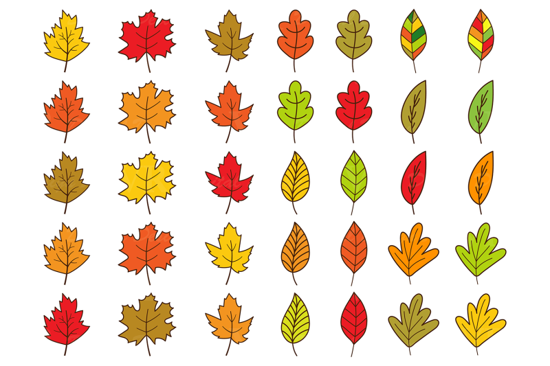 cute-autumn-clipart-fall-forest-graphics-and-illustrations