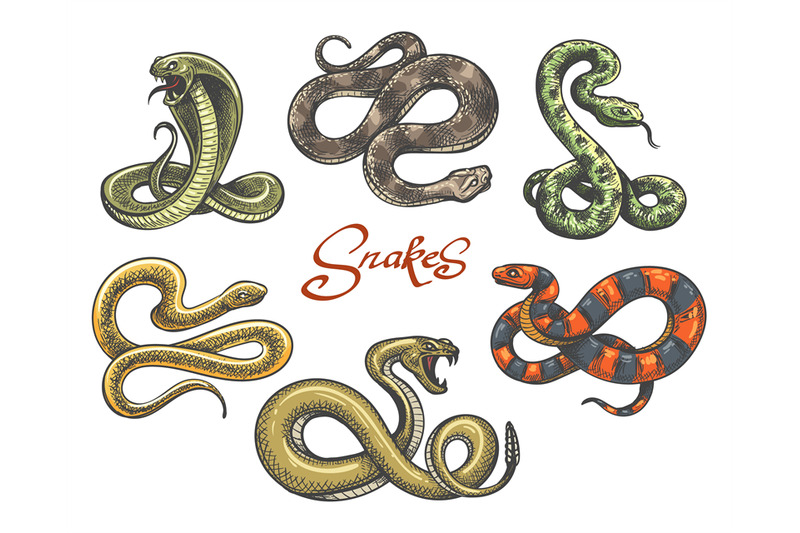 snake-tattoo-set