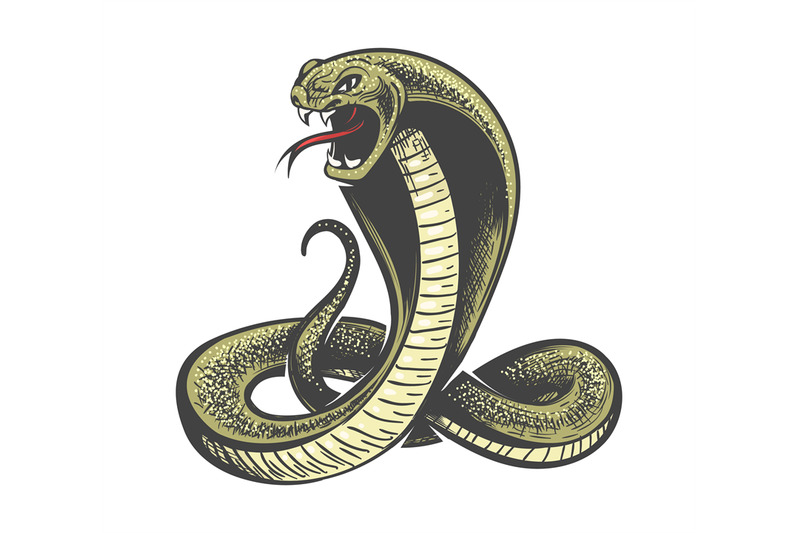 cobra-snake-attacking