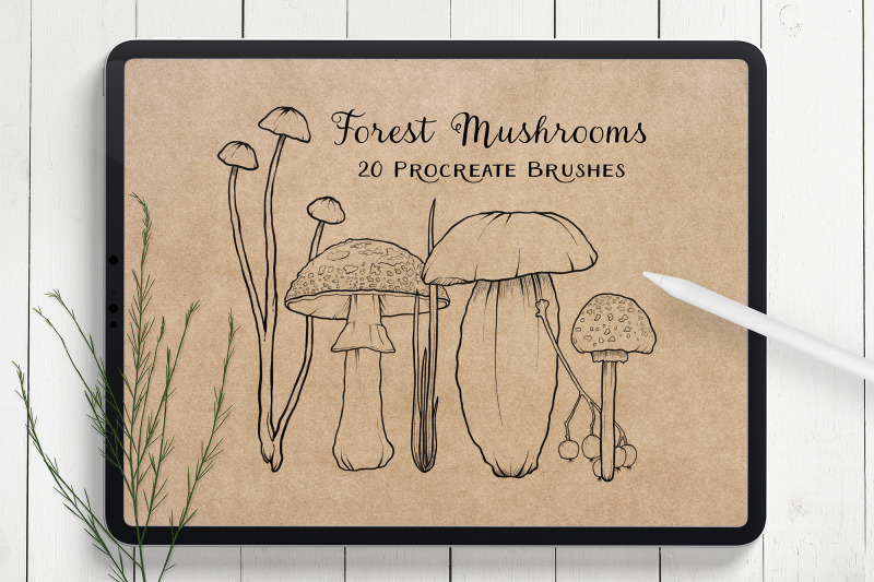 mushroom-procreate-brushes-stamp-brushes-hand-drawn