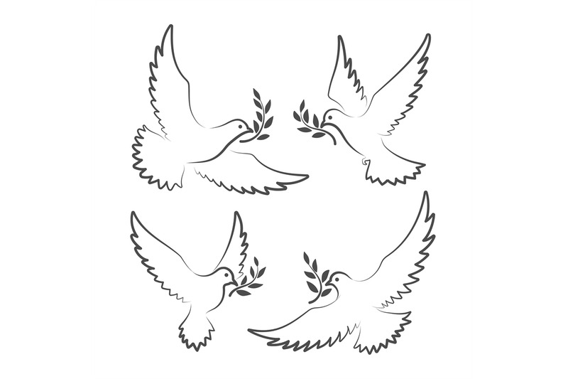 white-doves-with-olive-branch