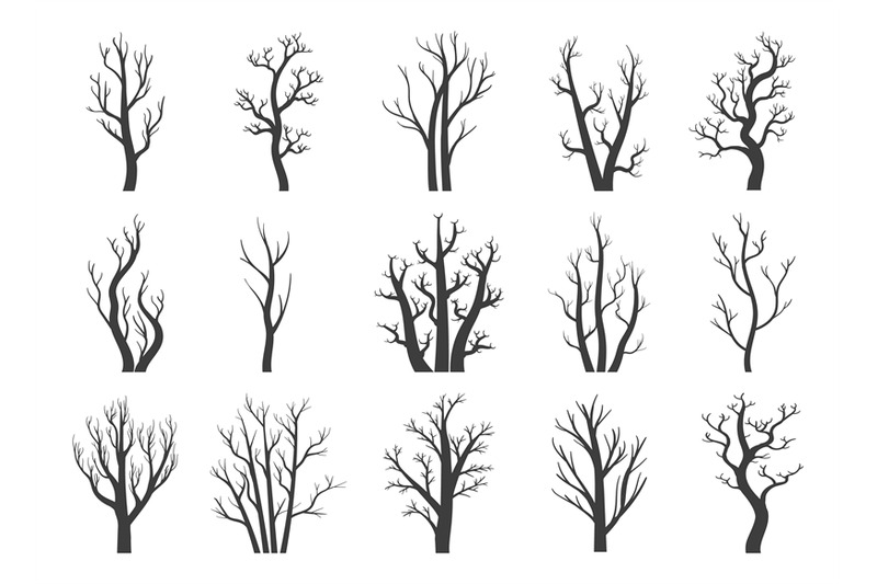 winter-dry-trees