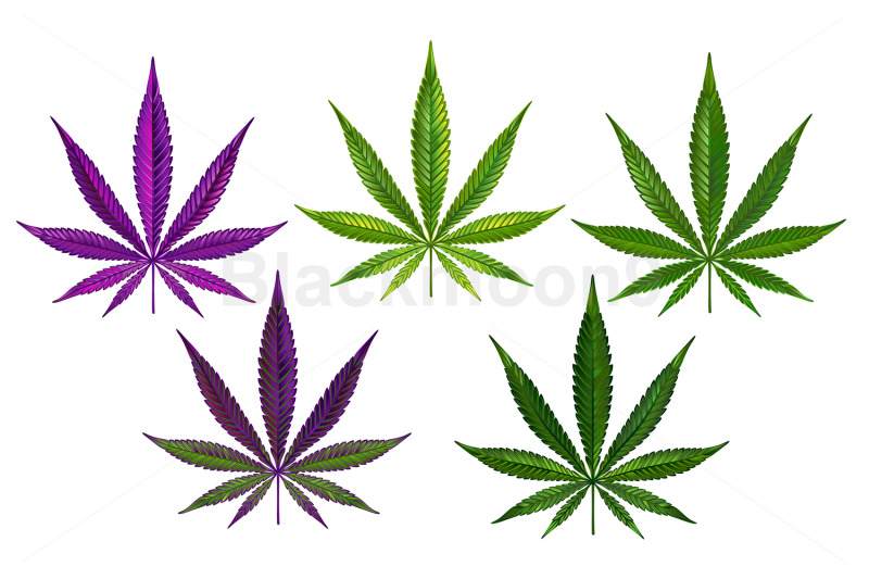cannabis-realistic-set