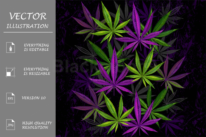 purple-and-green-cannabis