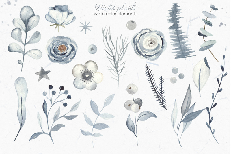 winter-plants-watercolor-collection