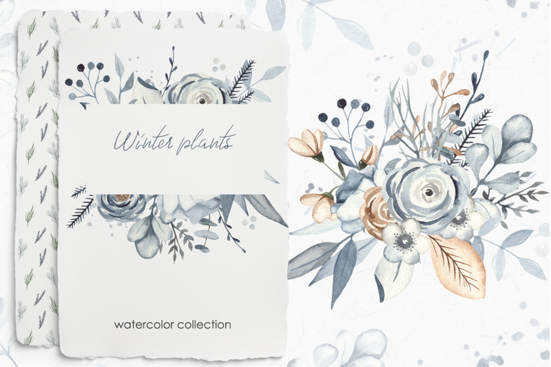 winter-plants-watercolor-collection